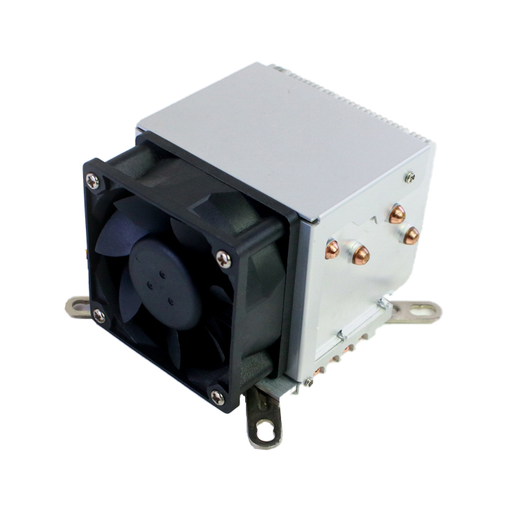 DTC010
